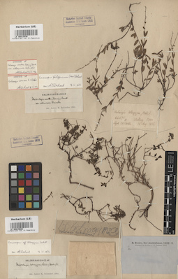 LE 00015602