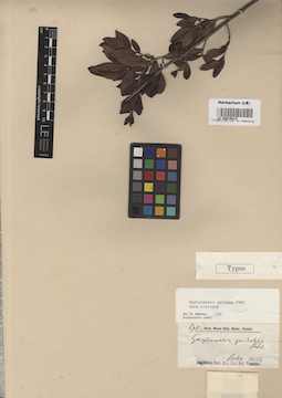 LE 00015814