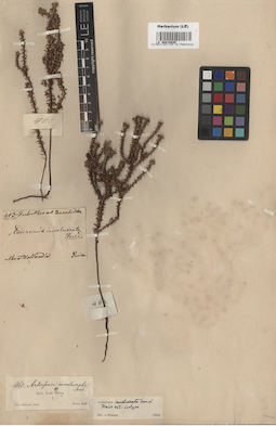 LE 00015825