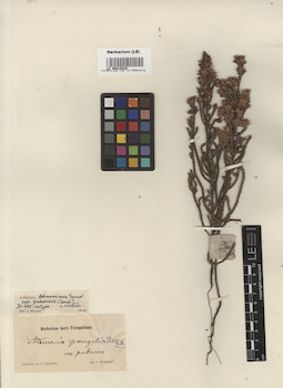 LE 00015829