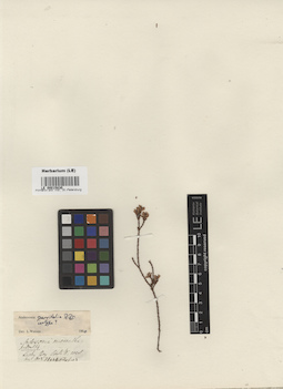 LE 00015830