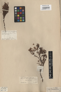 LE 00015833