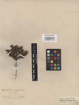 LE 00015834