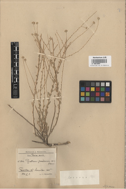 LE 00018093