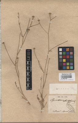 LE 00018106
