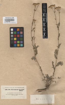LE 00018109