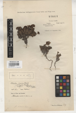 LE 00018134