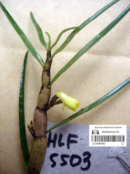 LE 01088782