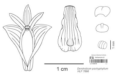 LE 01088789