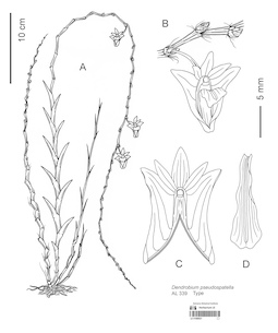 LE 01088821