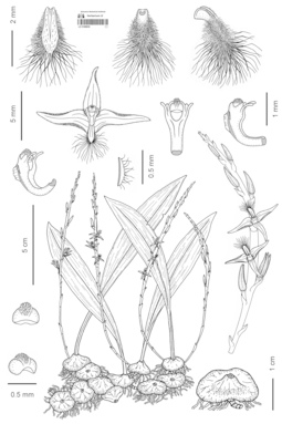 LE 01088830