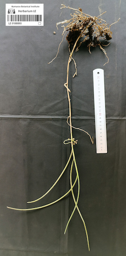 LE 01088893