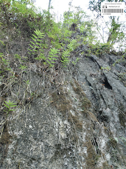 LE 01088909