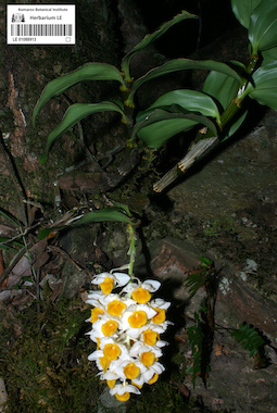 LE 01088913
