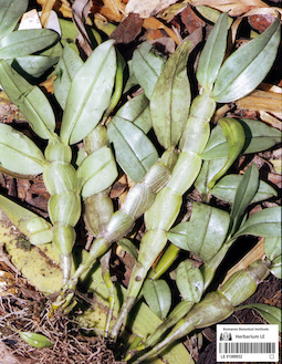 LE 01088932