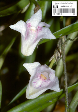 LE 01088946