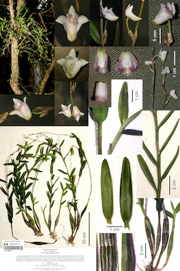 LE 01088948