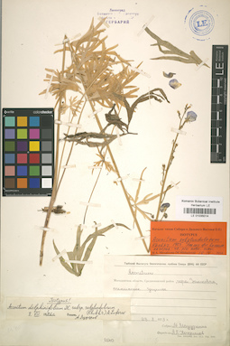 LE 01035014