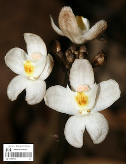 LE 01089013