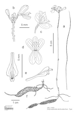 LE 01089018