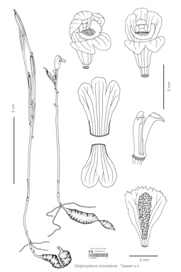 LE 01089039
