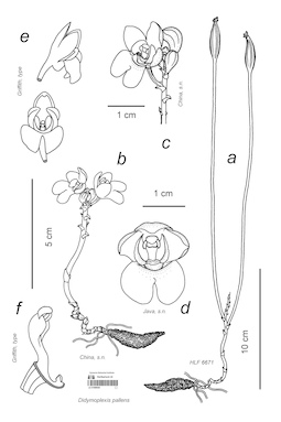 LE 01089040