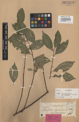 LE 00016022