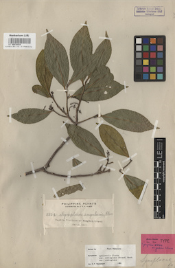 LE 00016024