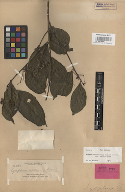 LE 00016025