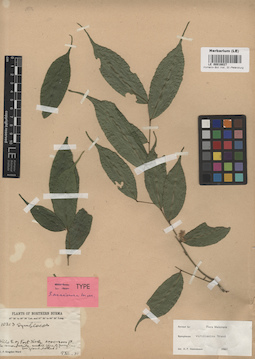 LE 00016027