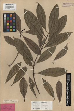 LE 00016028