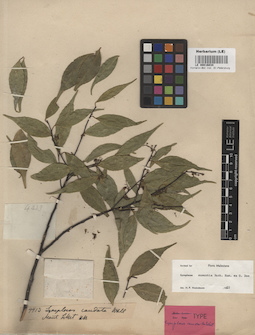 LE 00016034