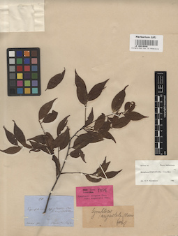LE 00016046