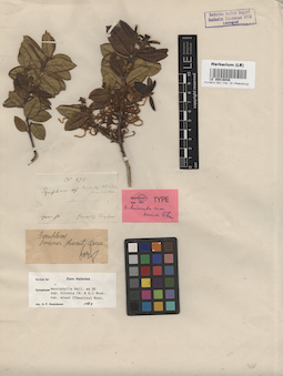 LE 00016048