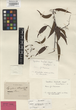LE 00016049