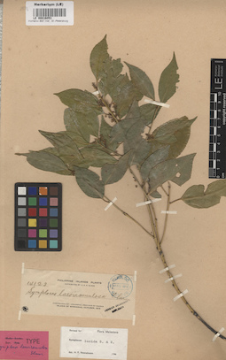 LE 00016053