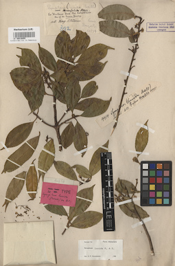 LE 00016055