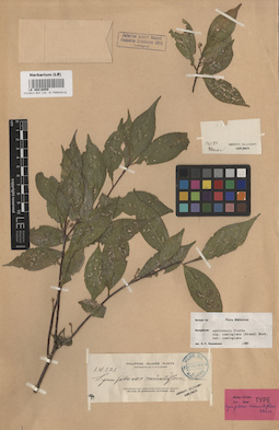 LE 00016059