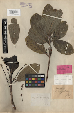 LE 00016061