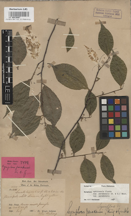LE 00016067