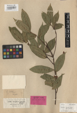 LE 00016070