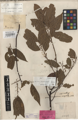 LE 00016078