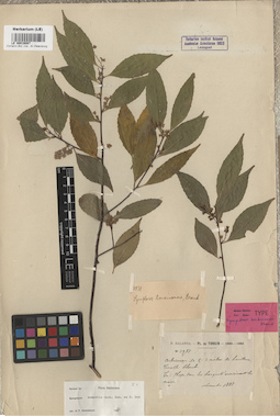 LE 00016087