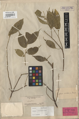 LE 00016088