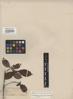 LE 00016108
