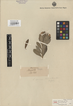 LE 00016173