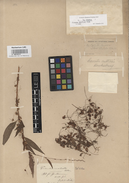 LE 00016214