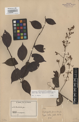 LE 00016269