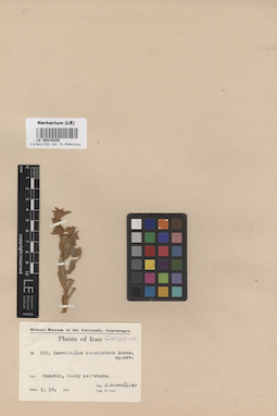 LE 00016280