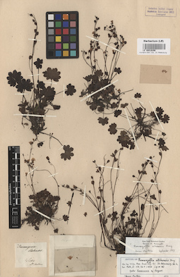 LE 00016296